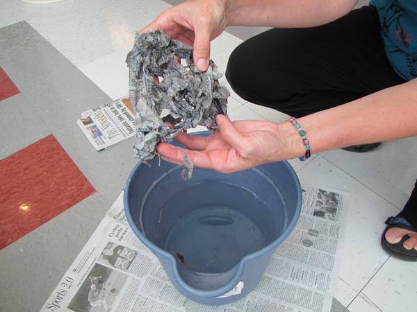 Figure 5. Bedding should be damp enough to provide moisture